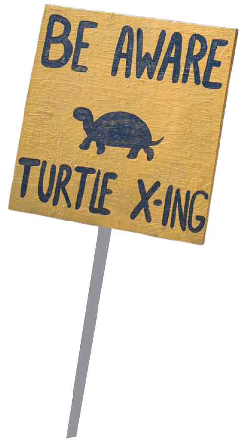 Be aware: Turtle crossing