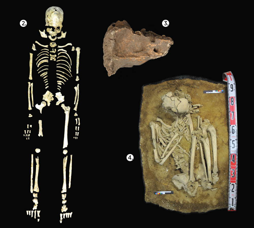 Ancient DNA is revealing the genetic landscape of people who first settled East Asia